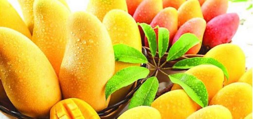 как выбрать и хранить манго