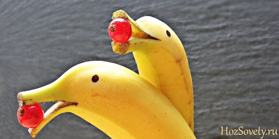 как хранить бананы1